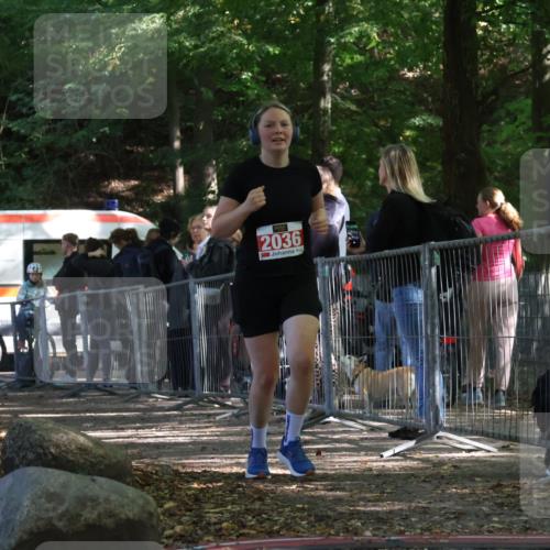 28.09.2025 - 33. Volkslauf durch das schöne Alstertal Strokosch-Dieckow http://msf.ph/oto/8955096 28.09.2025 12:45:50 Ziel 2036 meine-sportfotos.de