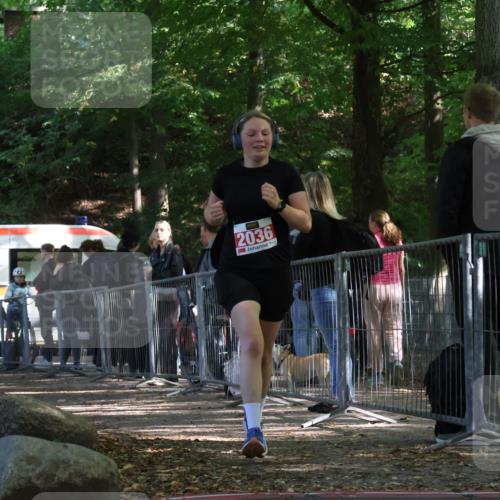 28.09.2025 - 33. Volkslauf durch das schöne Alstertal Strokosch-Dieckow http://msf.ph/oto/8955105 28.09.2025 12:45:51 Ziel 2036 meine-sportfotos.de