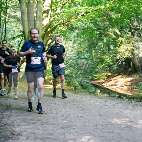 28.09.2025 - 33. Volkslauf durch das schöne Alstertal Dr. Thomas Lammeyer http://msf.ph/oto/8955106 28.09.2025 10:40:44 Laufen 245, 2535, 2559 meine-sportfotos.de