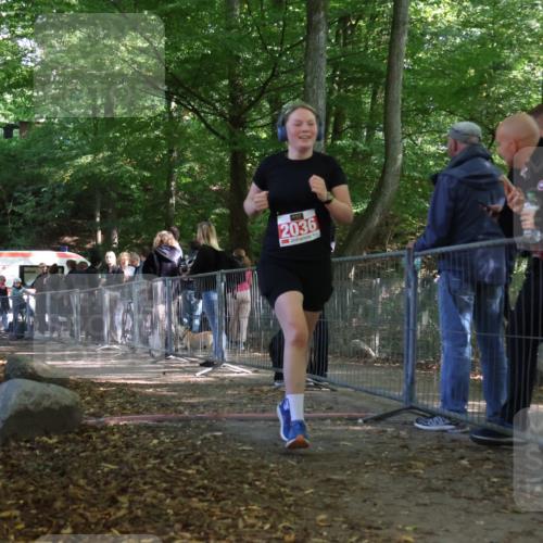 28.09.2025 - 33. Volkslauf durch das schöne Alstertal Strokosch-Dieckow http://msf.ph/oto/8955120 28.09.2025 12:45:52 Ziel 2036 meine-sportfotos.de