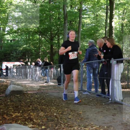 28.09.2025 - 33. Volkslauf durch das schöne Alstertal Strokosch-Dieckow http://msf.ph/oto/8955126 28.09.2025 12:45:52 Ziel 2036 meine-sportfotos.de