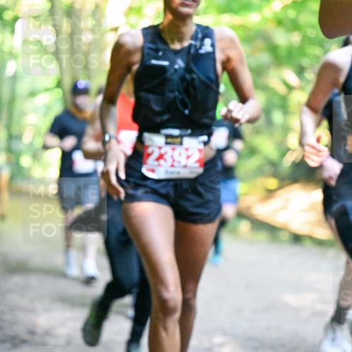 28.09.2025 - 33. Volkslauf durch das schöne Alstertal Dr. Thomas Lammeyer http://msf.ph/oto/8955135 28.09.2025 10:40:49 Laufen 2392 meine-sportfotos.de