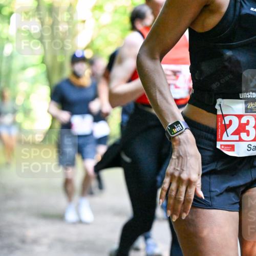 28.09.2025 - 33. Volkslauf durch das schöne Alstertal Dr. Thomas Lammeyer http://msf.ph/oto/8955136 28.09.2025 10:40:49 Laufen 190, 086, 2392 meine-sportfotos.de