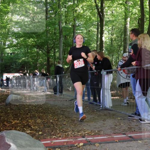 28.09.2025 - 33. Volkslauf durch das schöne Alstertal Strokosch-Dieckow http://msf.ph/oto/8955137 28.09.2025 12:45:53 Ziel 2036 meine-sportfotos.de