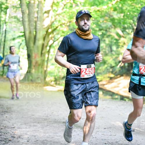 28.09.2025 - 33. Volkslauf durch das schöne Alstertal Dr. Thomas Lammeyer http://msf.ph/oto/8955141 28.09.2025 10:40:50 Laufen 2450, 24, 255 meine-sportfotos.de