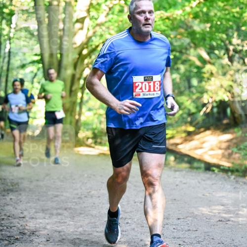 28.09.2025 - 33. Volkslauf durch das schöne Alstertal Dr. Thomas Lammeyer http://msf.ph/oto/8955174 28.09.2025 10:40:55 Laufen 2018 meine-sportfotos.de