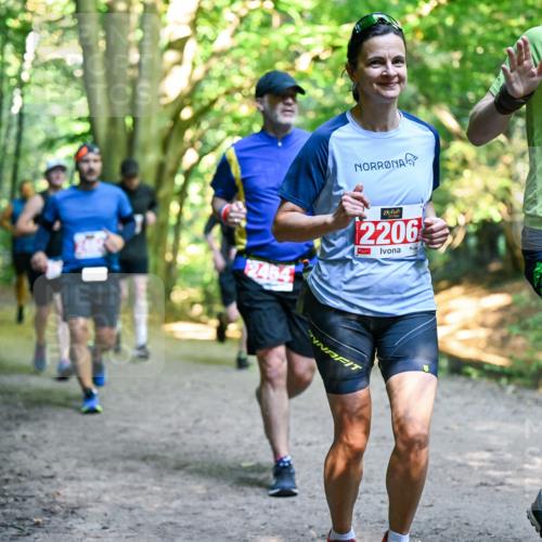 28.09.2025 - 33. Volkslauf durch das schöne Alstertal Dr. Thomas Lammeyer http://msf.ph/oto/8955202 28.09.2025 10:40:58 Laufen 2454, 2206, 262 meine-sportfotos.de