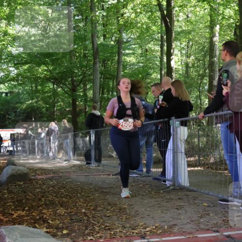 28.09.2025 - 33. Volkslauf durch das schöne Alstertal Strokosch-Dieckow http://msf.ph/oto/8955309 28.09.2025 12:46:42 Ziel 2487, 2609 meine-sportfotos.de