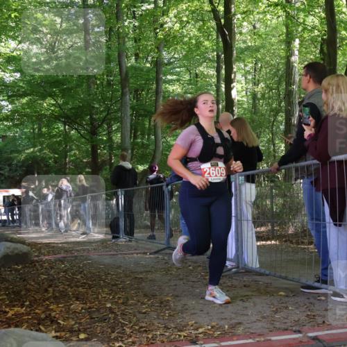 28.09.2025 - 33. Volkslauf durch das schöne Alstertal Strokosch-Dieckow http://msf.ph/oto/8955319 28.09.2025 12:46:42 Ziel 2487, 2609 meine-sportfotos.de