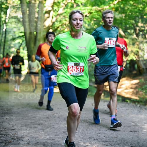 28.09.2025 - 33. Volkslauf durch das schöne Alstertal Dr. Thomas Lammeyer http://msf.ph/oto/8955335 28.09.2025 10:41:20 Laufen 2025, 2537, 2194 meine-sportfotos.de