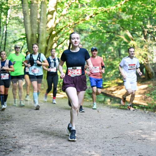 28.09.2025 - 33. Volkslauf durch das schöne Alstertal Dr. Thomas Lammeyer http://msf.ph/oto/8955368 28.09.2025 10:41:26 Laufen 2169, 2564, 1837 meine-sportfotos.de