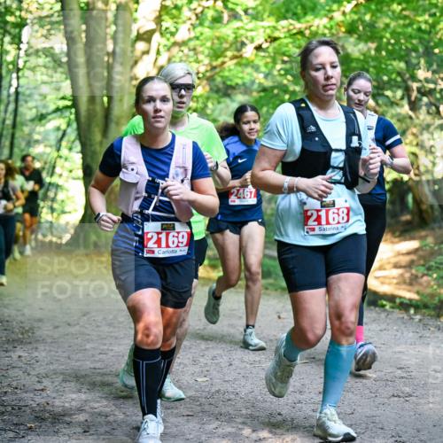 28.09.2025 - 33. Volkslauf durch das schöne Alstertal Dr. Thomas Lammeyer http://msf.ph/oto/8955389 28.09.2025 10:41:29 Laufen 2169, 2467, 2168 meine-sportfotos.de