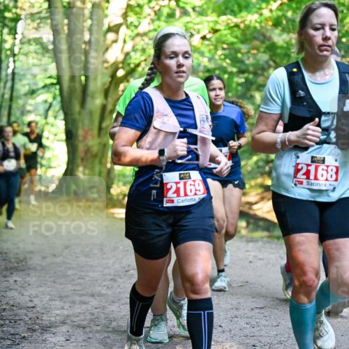 28.09.2025 - 33. Volkslauf durch das schöne Alstertal Dr. Thomas Lammeyer http://msf.ph/oto/8955392 28.09.2025 10:41:29 Laufen 7, 2169, 2168 meine-sportfotos.de