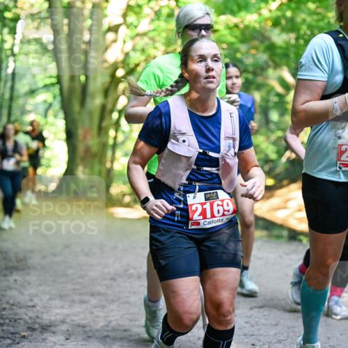 28.09.2025 - 33. Volkslauf durch das schöne Alstertal Dr. Thomas Lammeyer http://msf.ph/oto/8955393 28.09.2025 10:41:29 Laufen 2169, 2168 meine-sportfotos.de