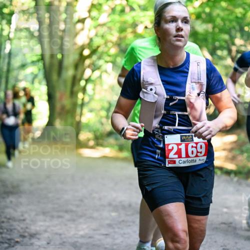 28.09.2025 - 33. Volkslauf durch das schöne Alstertal Dr. Thomas Lammeyer http://msf.ph/oto/8955396 28.09.2025 10:41:29 Laufen 2169, 12 meine-sportfotos.de