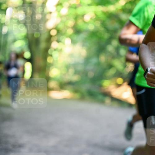 28.09.2025 - 33. Volkslauf durch das schöne Alstertal Dr. Thomas Lammeyer http://msf.ph/oto/8955400 28.09.2025 10:41:30 Laufen  meine-sportfotos.de