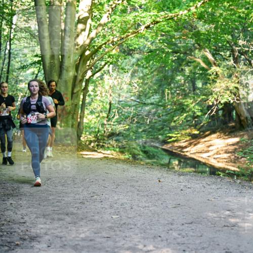 28.09.2025 - 33. Volkslauf durch das schöne Alstertal Dr. Thomas Lammeyer http://msf.ph/oto/8955402 28.09.2025 10:41:31 Laufen 2055, 260 meine-sportfotos.de