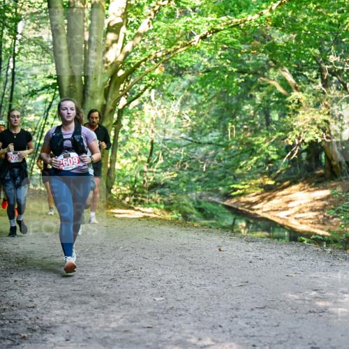28.09.2025 - 33. Volkslauf durch das schöne Alstertal Dr. Thomas Lammeyer http://msf.ph/oto/8955406 28.09.2025 10:41:31 Laufen 205, 2609 meine-sportfotos.de
