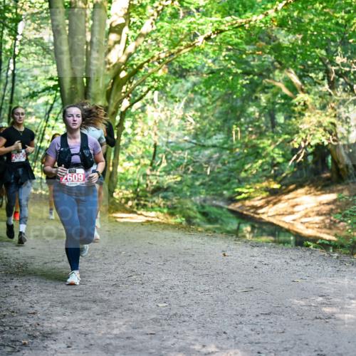28.09.2025 - 33. Volkslauf durch das schöne Alstertal Dr. Thomas Lammeyer http://msf.ph/oto/8955407 28.09.2025 10:41:32 Laufen 2055, 2609 meine-sportfotos.de