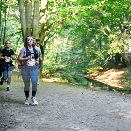 28.09.2025 - 33. Volkslauf durch das schöne Alstertal Dr. Thomas Lammeyer http://msf.ph/oto/8955408 28.09.2025 10:41:32 Laufen 2055, 2609 meine-sportfotos.de