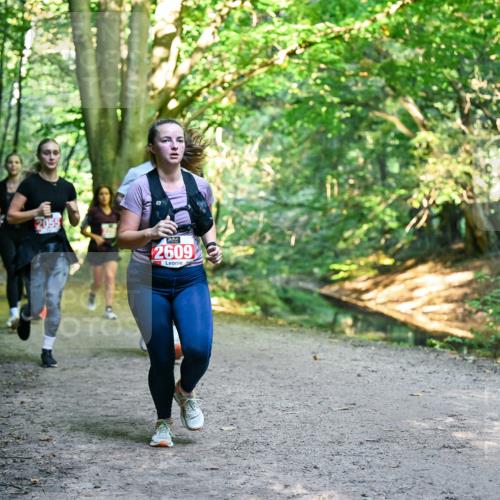 28.09.2025 - 33. Volkslauf durch das schöne Alstertal Dr. Thomas Lammeyer http://msf.ph/oto/8955414 28.09.2025 10:41:32 Laufen 2055, 2609 meine-sportfotos.de
