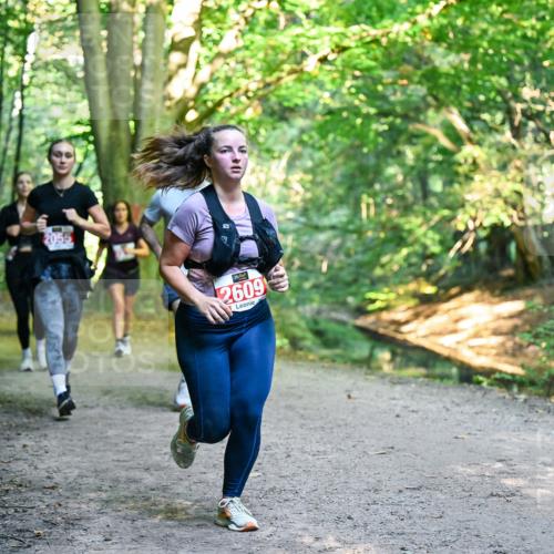 28.09.2025 - 33. Volkslauf durch das schöne Alstertal Dr. Thomas Lammeyer http://msf.ph/oto/8955416 28.09.2025 10:41:33 Laufen 2055, 2609 meine-sportfotos.de