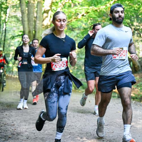 28.09.2025 - 33. Volkslauf durch das schöne Alstertal Dr. Thomas Lammeyer http://msf.ph/oto/8955426 28.09.2025 10:41:34 Laufen 2055, 56 meine-sportfotos.de