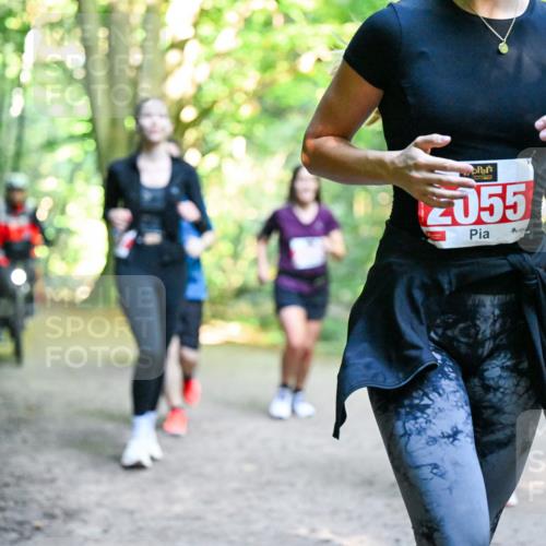 28.09.2025 - 33. Volkslauf durch das schöne Alstertal Dr. Thomas Lammeyer http://msf.ph/oto/8955429 28.09.2025 10:41:35 Laufen 055 meine-sportfotos.de