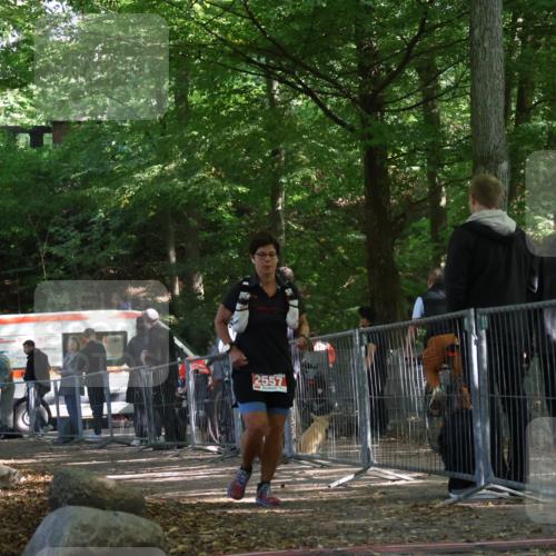 28.09.2025 - 33. Volkslauf durch das schöne Alstertal Strokosch-Dieckow http://msf.ph/oto/8955450 28.09.2025 12:47:20 Ziel 2557, 2564 meine-sportfotos.de