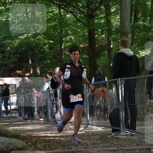 28.09.2025 - 33. Volkslauf durch das schöne Alstertal Strokosch-Dieckow http://msf.ph/oto/8955459 28.09.2025 12:47:20 Ziel 2557, 2564 meine-sportfotos.de