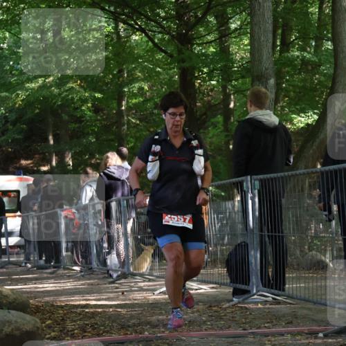 28.09.2025 - 33. Volkslauf durch das schöne Alstertal Strokosch-Dieckow http://msf.ph/oto/8955465 28.09.2025 12:47:21 Ziel 2557, 2564 meine-sportfotos.de