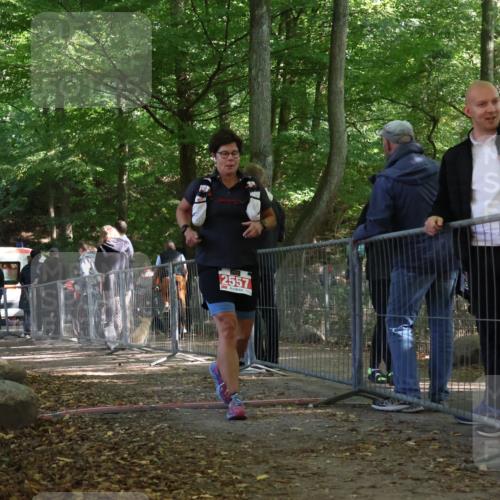 28.09.2025 - 33. Volkslauf durch das schöne Alstertal Strokosch-Dieckow http://msf.ph/oto/8955474 28.09.2025 12:47:21 Ziel 2557, 2564 meine-sportfotos.de
