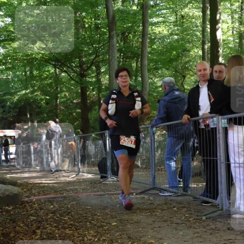 28.09.2025 - 33. Volkslauf durch das schöne Alstertal Strokosch-Dieckow http://msf.ph/oto/8955491 28.09.2025 12:47:22 Ziel 2557, 2564 meine-sportfotos.de