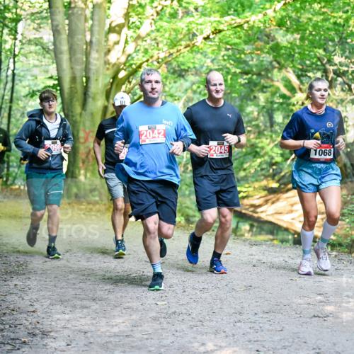 28.09.2025 - 33. Volkslauf durch das schöne Alstertal Dr. Thomas Lammeyer http://msf.ph/oto/8955498 28.09.2025 10:41:47 Laufen 096, 2042, 2045, 1068 meine-sportfotos.de