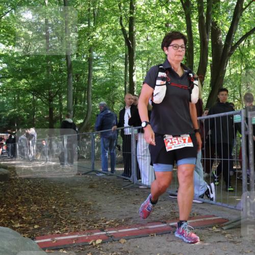 28.09.2025 - 33. Volkslauf durch das schöne Alstertal Strokosch-Dieckow http://msf.ph/oto/8955514 28.09.2025 12:47:24 Ziel 2564 meine-sportfotos.de