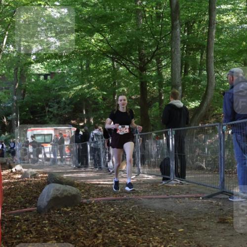 28.09.2025 - 33. Volkslauf durch das schöne Alstertal Strokosch-Dieckow http://msf.ph/oto/8955523 28.09.2025 12:47:27 Ziel 2564 meine-sportfotos.de