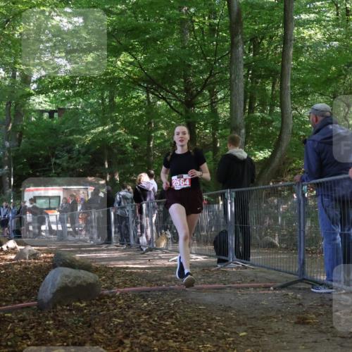28.09.2025 - 33. Volkslauf durch das schöne Alstertal Strokosch-Dieckow http://msf.ph/oto/8955531 28.09.2025 12:47:28 Ziel 2564 meine-sportfotos.de