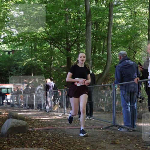28.09.2025 - 33. Volkslauf durch das schöne Alstertal Strokosch-Dieckow http://msf.ph/oto/8955539 28.09.2025 12:47:28 Ziel 2564 meine-sportfotos.de