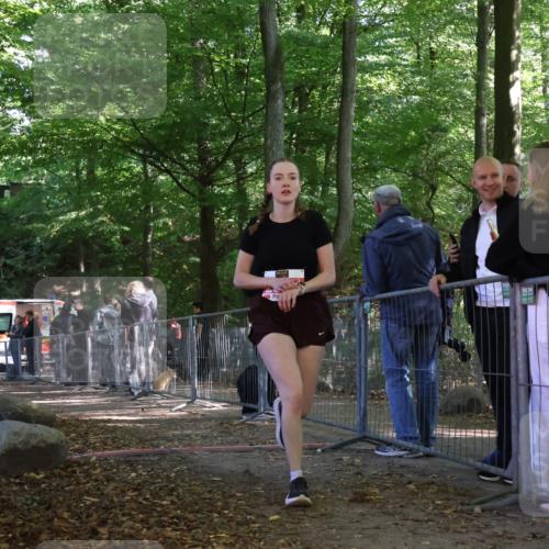 28.09.2025 - 33. Volkslauf durch das schöne Alstertal Strokosch-Dieckow http://msf.ph/oto/8955549 28.09.2025 12:47:29 Ziel 2564 meine-sportfotos.de