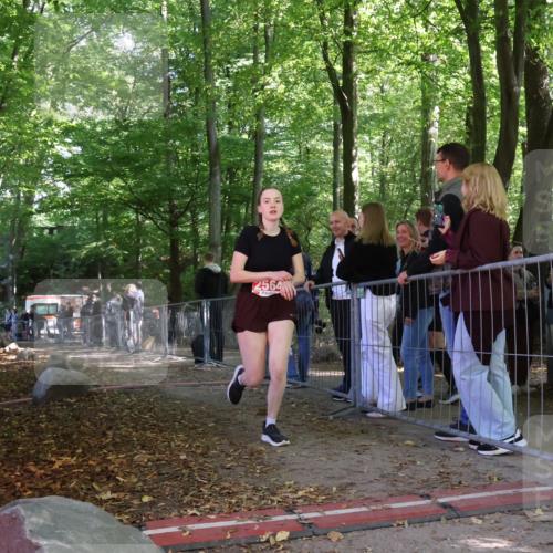 28.09.2025 - 33. Volkslauf durch das schöne Alstertal Strokosch-Dieckow http://msf.ph/oto/8955558 28.09.2025 12:47:29 Ziel 2564 meine-sportfotos.de