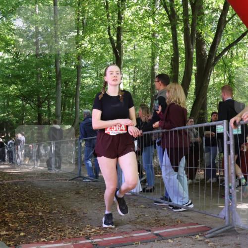 28.09.2025 - 33. Volkslauf durch das schöne Alstertal Strokosch-Dieckow http://msf.ph/oto/8955569 28.09.2025 12:47:29 Ziel 2564 meine-sportfotos.de