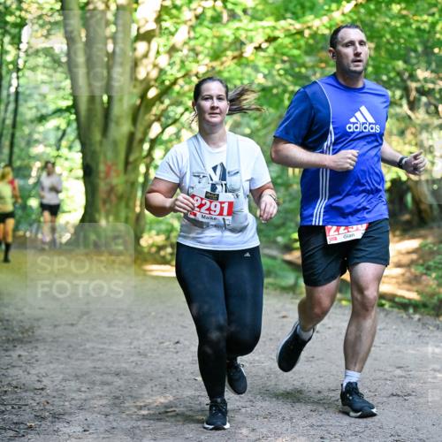 28.09.2025 - 33. Volkslauf durch das schöne Alstertal Dr. Thomas Lammeyer http://msf.ph/oto/8955573 28.09.2025 10:42:01 Laufen 2291 meine-sportfotos.de