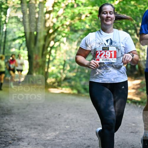 28.09.2025 - 33. Volkslauf durch das schöne Alstertal Dr. Thomas Lammeyer http://msf.ph/oto/8955579 28.09.2025 10:42:02 Laufen 2291 meine-sportfotos.de