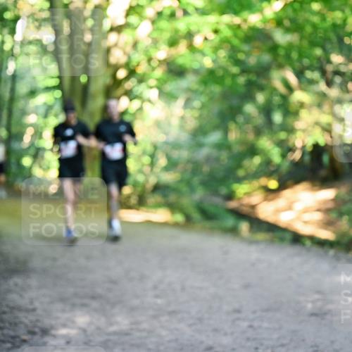 28.09.2025 - 33. Volkslauf durch das schöne Alstertal Dr. Thomas Lammeyer http://msf.ph/oto/8955656 28.09.2025 10:42:14 Laufen  meine-sportfotos.de