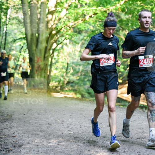 28.09.2025 - 33. Volkslauf durch das schöne Alstertal Dr. Thomas Lammeyer http://msf.ph/oto/8955674 28.09.2025 10:42:17 Laufen 2482, 2481 meine-sportfotos.de