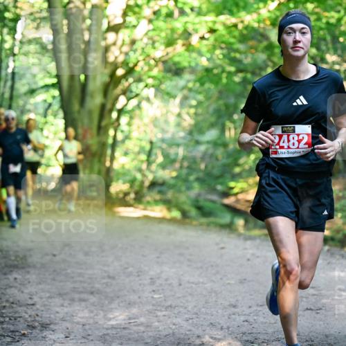 28.09.2025 - 33. Volkslauf durch das schöne Alstertal Dr. Thomas Lammeyer http://msf.ph/oto/8955677 28.09.2025 10:42:17 Laufen 2482, 2481 meine-sportfotos.de