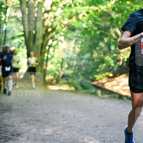 28.09.2025 - 33. Volkslauf durch das schöne Alstertal Dr. Thomas Lammeyer http://msf.ph/oto/8955680 28.09.2025 10:42:17 Laufen 2482 meine-sportfotos.de