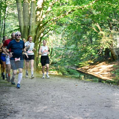 28.09.2025 - 33. Volkslauf durch das schöne Alstertal Dr. Thomas Lammeyer http://msf.ph/oto/8955682 28.09.2025 10:42:19 Laufen 2163, 2177 meine-sportfotos.de