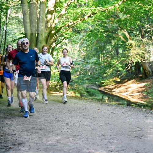 28.09.2025 - 33. Volkslauf durch das schöne Alstertal Dr. Thomas Lammeyer http://msf.ph/oto/8955685 28.09.2025 10:42:19 Laufen 218, 163, 217 meine-sportfotos.de