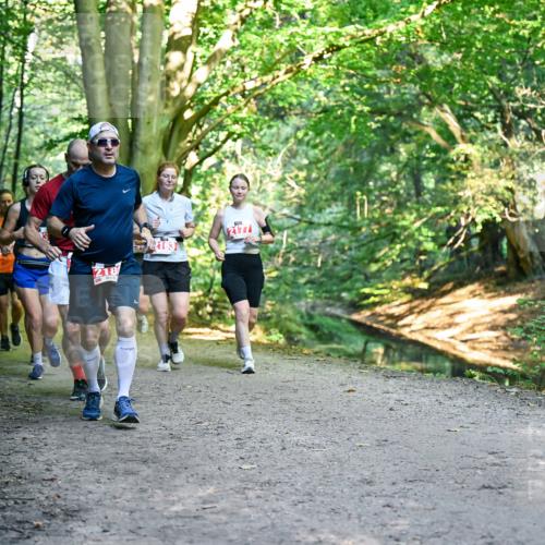 28.09.2025 - 33. Volkslauf durch das schöne Alstertal Dr. Thomas Lammeyer http://msf.ph/oto/8955686 28.09.2025 10:42:19 Laufen 218, 2177 meine-sportfotos.de